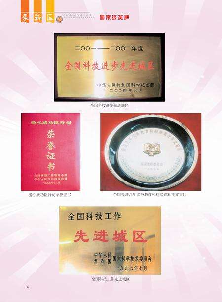 《南宁市永新区志》.pdf电子版_广西壮族自治区志预览图5