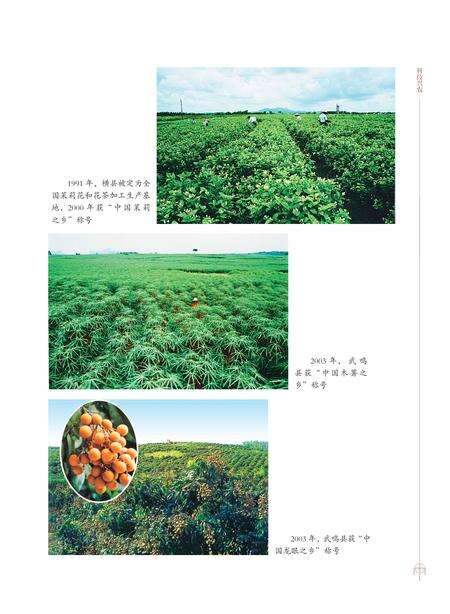《南宁市志1991—2005（三）》.pdf电子版_广西壮族自治区志预览图2