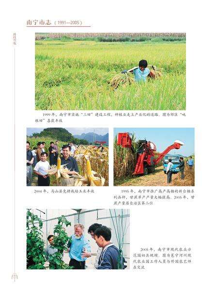 《南宁市志1991—2005（三）》.pdf电子版_广西壮族自治区志预览图3