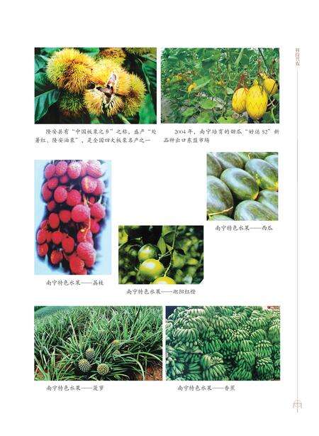 《南宁市志1991—2005（三）》.pdf电子版_广西壮族自治区志预览图4