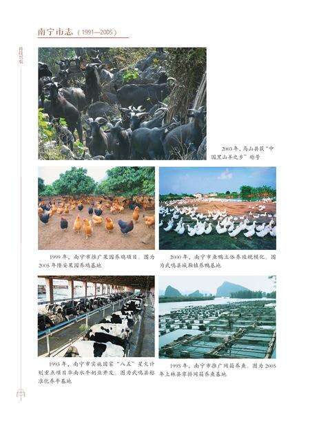 《南宁市志1991—2005（三）》.pdf电子版_广西壮族自治区志预览图5