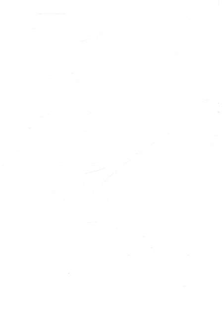 《怒江傈僳族自治州志下》.pdf电子版_云南省志预览图4