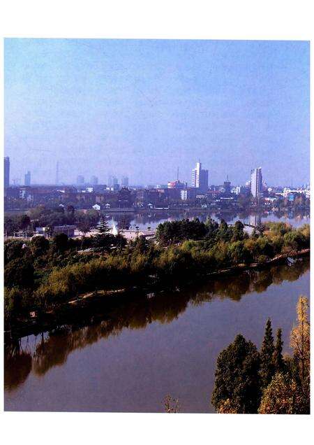 《平湖市志1990-2005》.pdf电子版_浙江省志预览图5