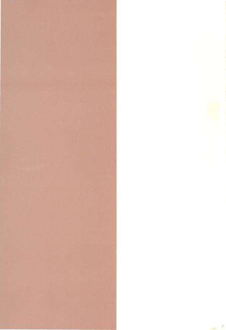 《莆田市志(1991-2005)下册》.pdf电子版_福建省志预览图1