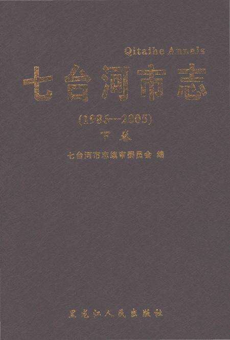 《七台河市志（1986-2005）下卷》.pdf电子版_黑龙江省志缩略图