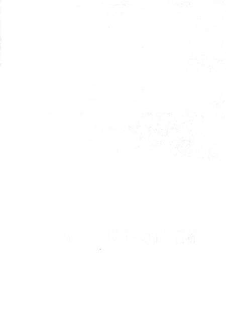 《七台河市志（1986-2005）下卷》.pdf电子版_黑龙江省志预览图4