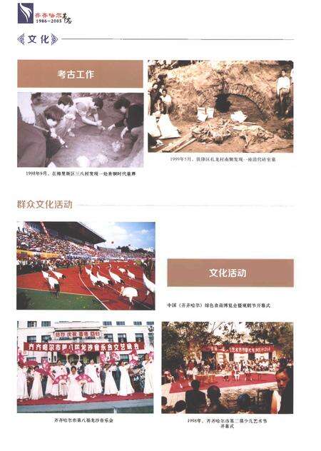 《齐齐哈尔市志1986-2005（四）》.pdf电子版_黑龙江省志预览图5