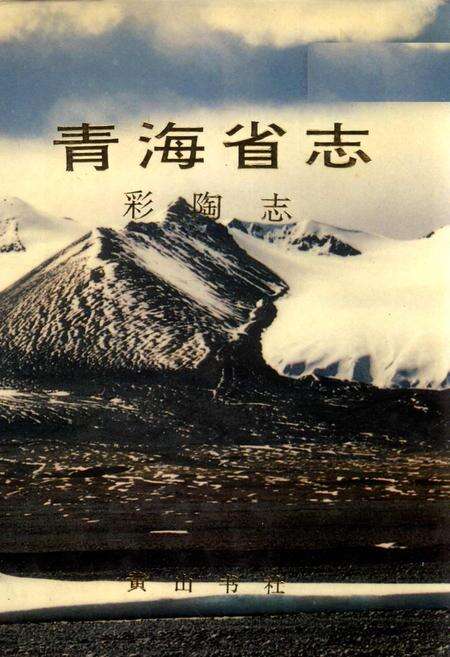 《青海省志 彩陶志》.pdf电子版_青海省志缩略图