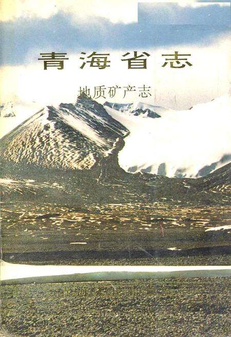 《青海省志 地质矿产志》.pdf电子版_青海省志缩略图