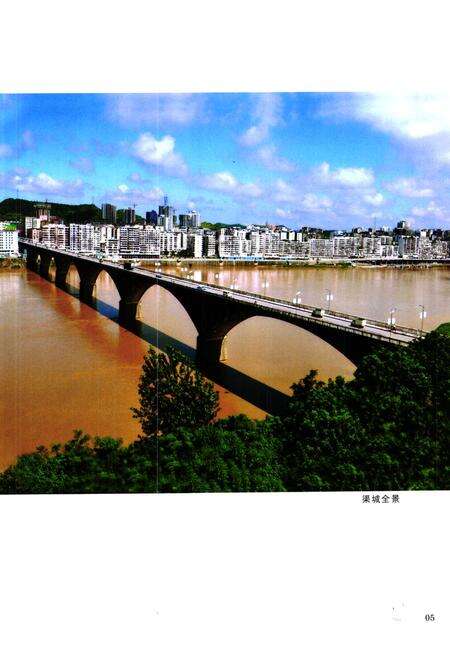 《渠县志 1986-2005》.pdf电子版_四川省志预览图5