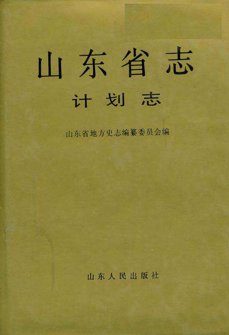 《山东省志 计划志》.pdf电子版_山东省志缩略图