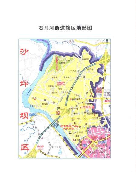 《石马河街道志1986-2005》.pdf电子版_重庆市志预览图4