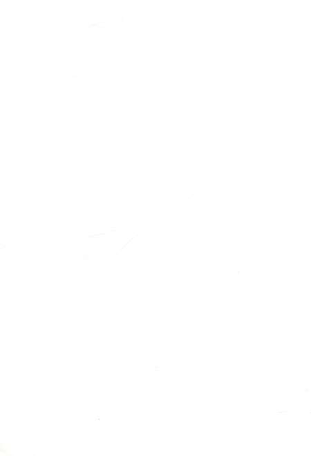 《石屏县志（1986-2000）》.pdf电子版_云南省志预览图2