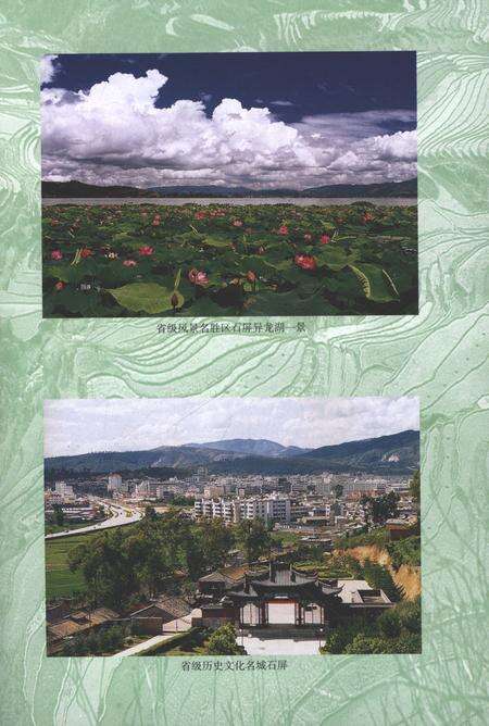 《石屏县志（1986-2000）》.pdf电子版_云南省志预览图5