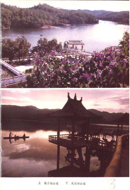 《思茅县志》.pdf电子版_云南省志预览图5