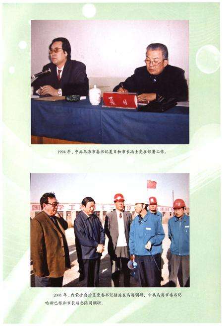 《乌海市志（1994年-2008年）》.pdf电子版_内蒙古自治区志预览图5