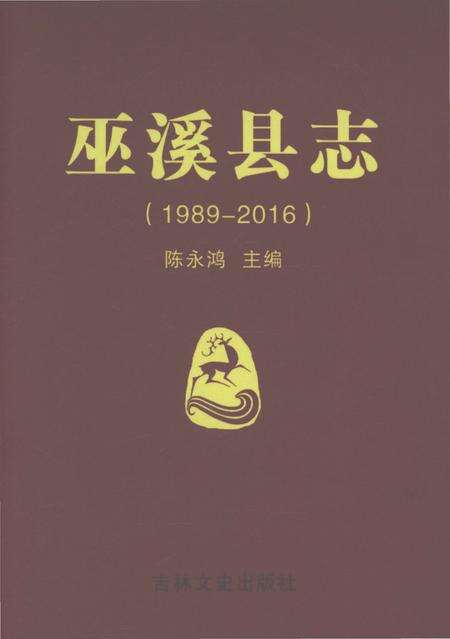 《巫溪县志（1989-2016）》.pdf电子版_重庆市志缩略图