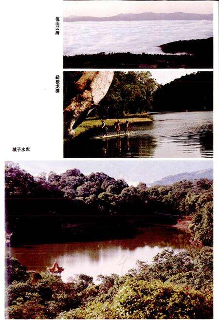 《西盟佤族自治县志》.pdf电子版_云南省志预览图5