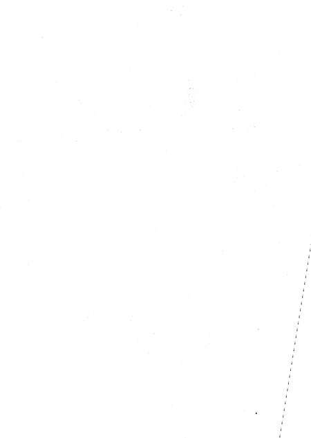 《西双版纳傣族自治州志（1994-2005）下》.pdf电子版_云南省志预览图2