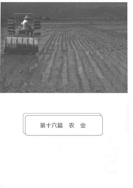 《西双版纳傣族自治州志（1994-2005）下》.pdf电子版_云南省志预览图3