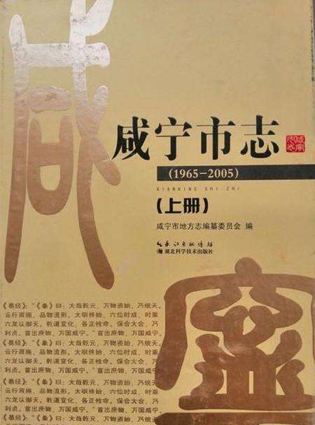 《咸宁市志（1965-2005）上册》.pdf电子版_湖北省志缩略图