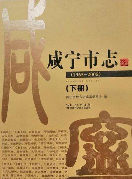 《咸宁市志（1965-2005）下册》.pdf电子版_湖北省志缩略图