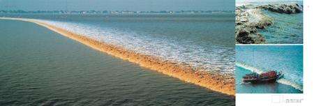 《萧山市志 （1985-2001） 第一册》.pdf电子版_浙江省志预览图5