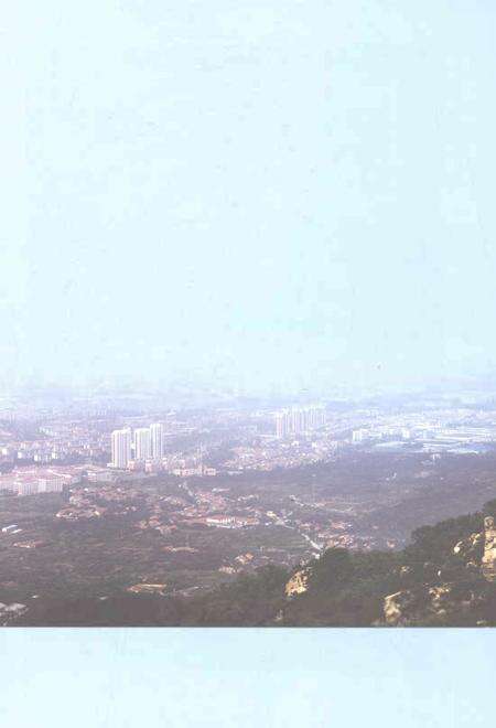 《辛安街道志1993-2014》.pdf电子版_山东省志预览图3