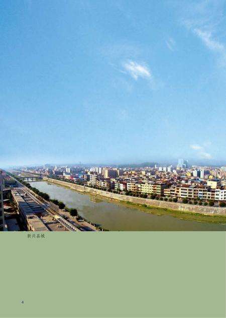 《新兴县志 （1979-2000）》.pdf电子版_广东省志预览图5