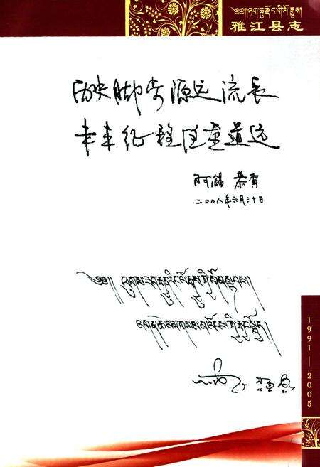 《雅江县志（1991-2005）》.pdf电子版_四川省志预览图4