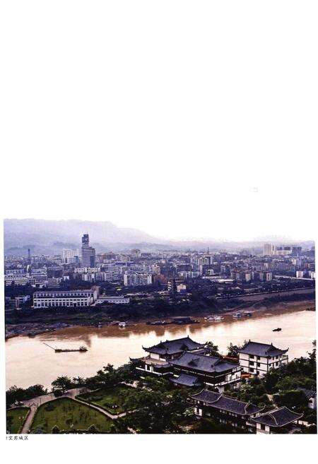 《宜宾市志（1911-2000）上》.pdf电子版_四川省志预览图4