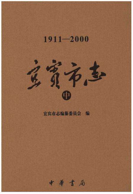 《宜宾市志（1911-2000）中》.pdf电子版_四川省志缩略图