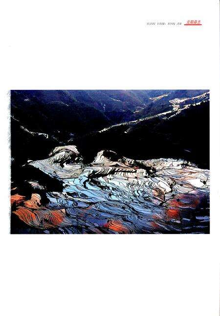 《元阳县志（1978-2005）》.pdf电子版_云南省志预览图4