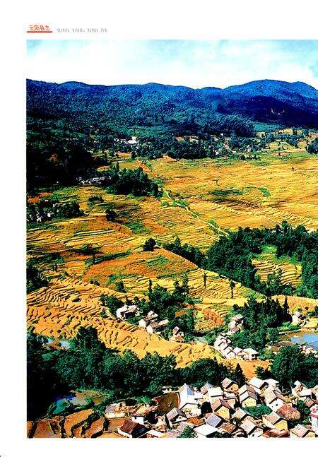 《元阳县志（1978-2005）》.pdf电子版_云南省志预览图5