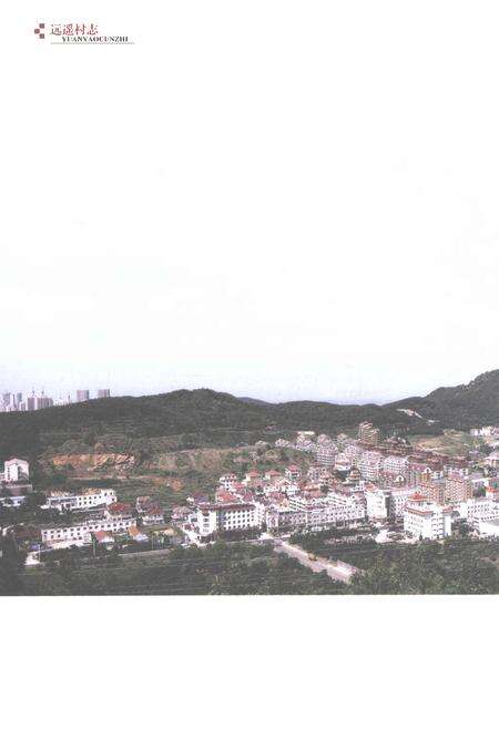 《远遥村志1555-2014》.pdf电子版_山东省志预览图4