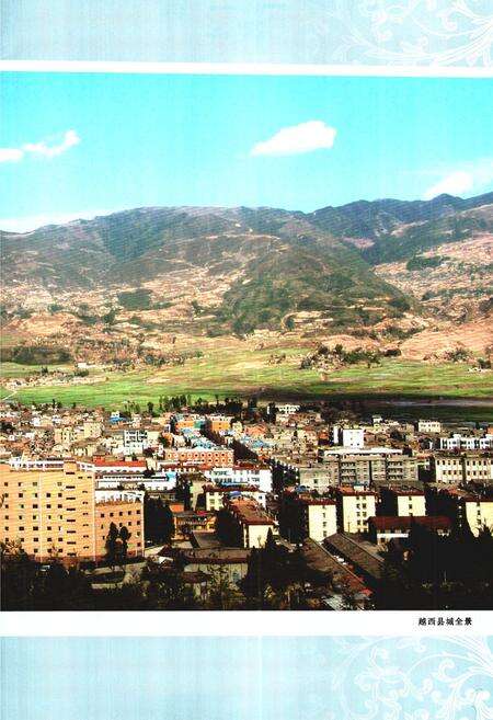 《越西县志 1991-2005》.pdf电子版_四川省志预览图4