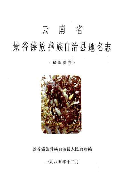 《云南省景谷傣族彝族自治县地名志》.pdf电子版_云南省志预览图1