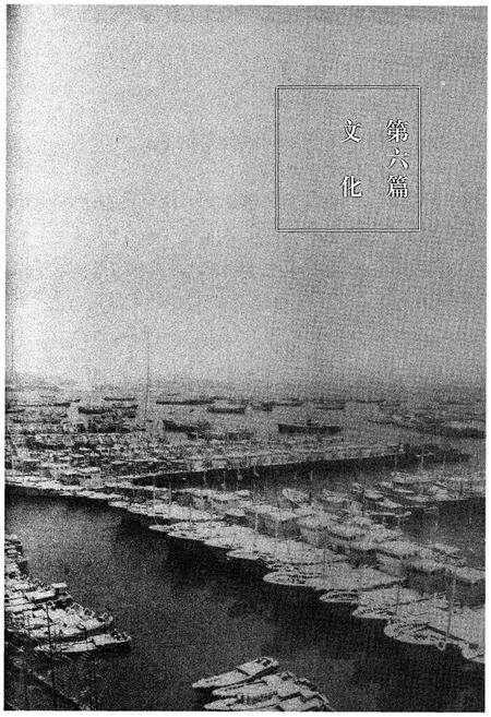 《舟山市志 下卷(1989-2005)》.pdf电子版_浙江省志预览图2