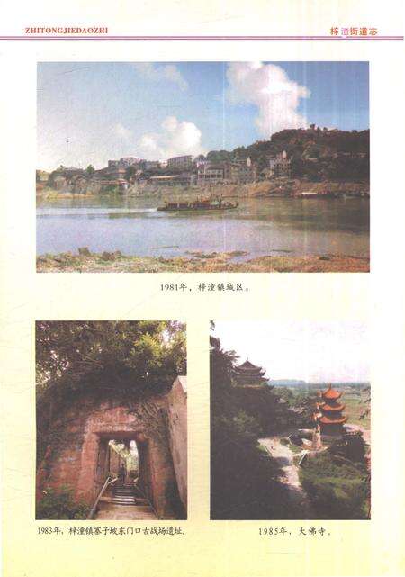 《梓潼街道志1981-2010》.pdf电子版_重庆市志预览图5
