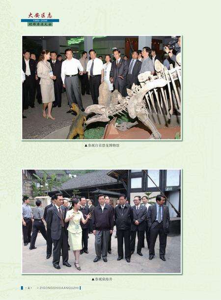 《自贡市大安区志 (1989—2006）》.pdf电子版_贵州省志预览图3