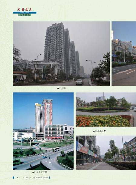 《自贡市大安区志 (1989—2006）》.pdf电子版_贵州省志预览图5