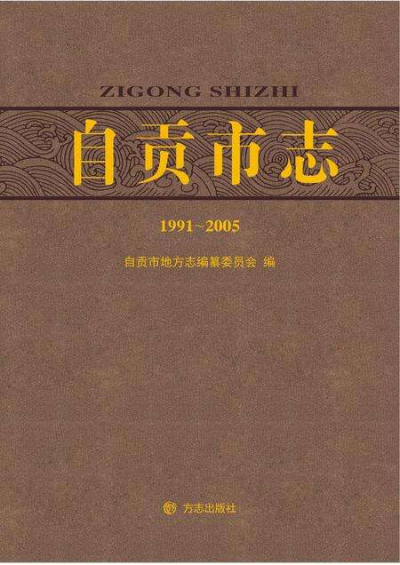 《自贡市志 （1991-2005）》.pdf电子版_贵州省志缩略图