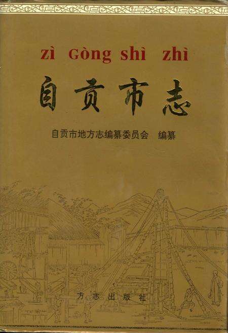 《自贡市志（上册）》.pdf电子版_贵州省志缩略图