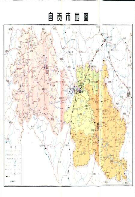 《自贡市志（上册）》.pdf电子版_贵州省志预览图2