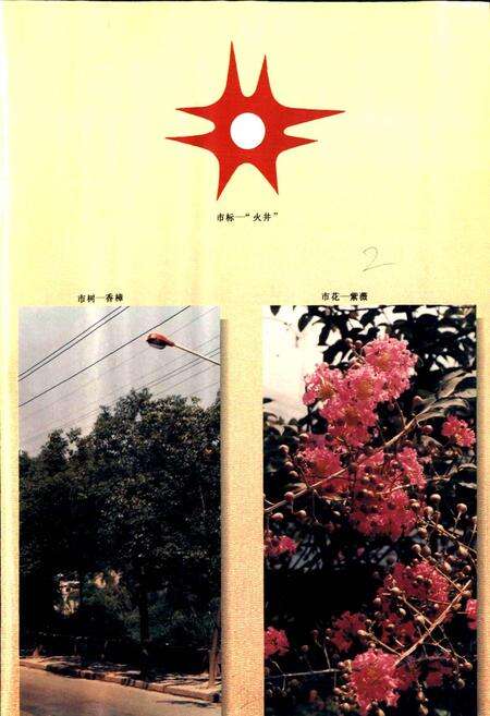 《自贡市志（上册）》.pdf电子版_贵州省志预览图3