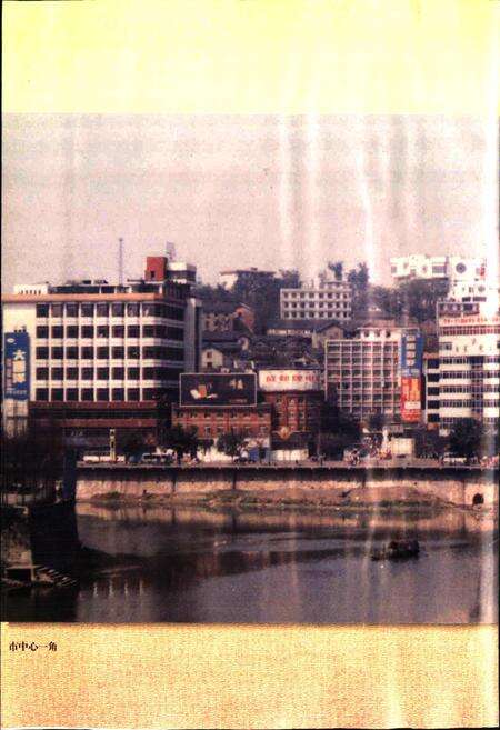 《自贡市志（上册）》.pdf电子版_贵州省志预览图4