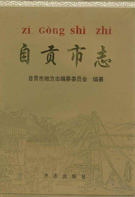 《自贡市志（下册）》.pdf电子版_贵州省志缩略图