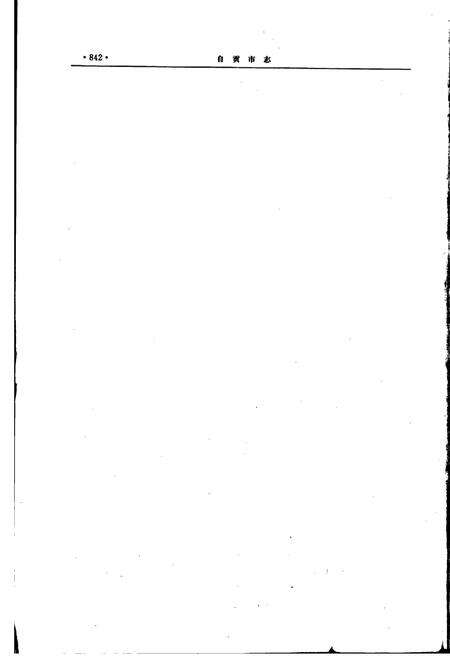 《自贡市志（下册）》.pdf电子版_贵州省志预览图2