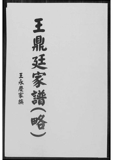 福建王氏族谱-王鼎廷家谱.pdf电子版缩略图