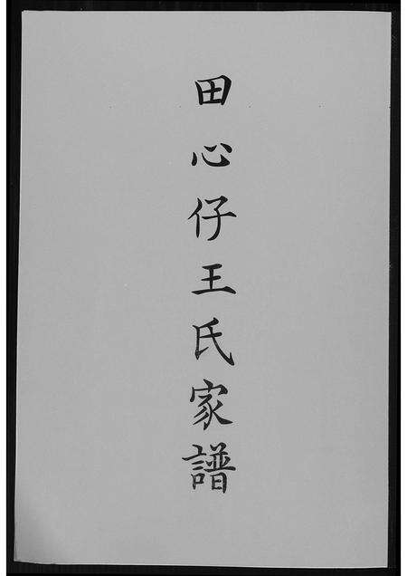 福建王氏族谱-田心仔王氏家谱.pdf电子版缩略图